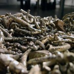 closeup-oneloveparempi_A